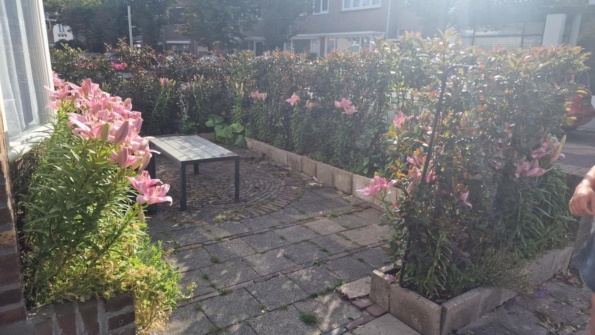 Guesthouse Зандвоорт Екстериор снимка